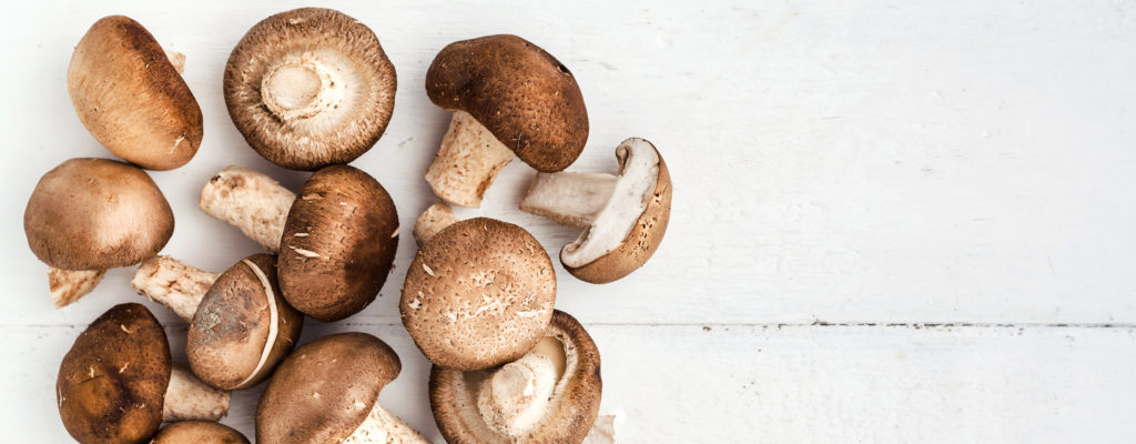 Vegan Mushroom Gravy Recipe
