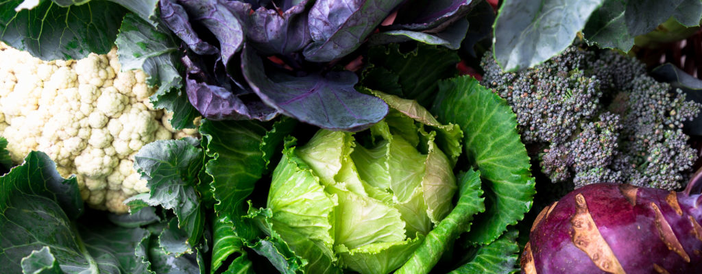 What the heck are brassicas, anyways?