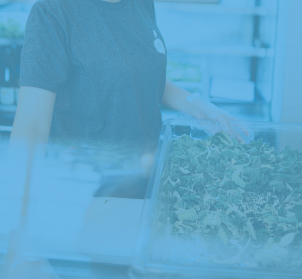 Operations mad radish franchising